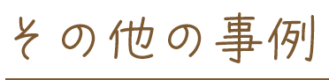 その他の事例